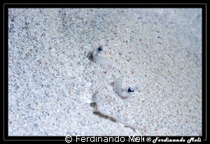 You see me or only my eyes? by Ferdinando Meli 